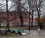 Daudzviet zāģēs vecos kokus un stādīs jaunus