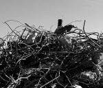 Atbrīvo laukumu termināļu būvei