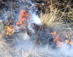Izstrādāts plāns kūlas dedzināšanas novēršanai un apkarošanai