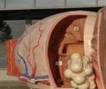 Prostatas “mācību stunda”