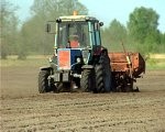 Stāda kartupeļus maznodrošinātajiem