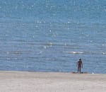 Ūdens temperatūra sasniegusi plus 17 grādus
