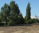 Zirņu ielas rekonstrukcija prasa koku upurus