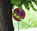 Ceļa zīme vairs neslēpsies