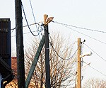 Papildināts – Vētras dēļ elektroapgāde Latvijā traucēta aptuveni 35 000 “Latvenergo” klientu
