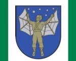 Par karoga izmantojumu vēl lems