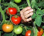 Ļaus pastāstīt par grandiozajiem plāniem