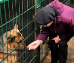 Liepājnieki dzīvnieku patversmei saziedo vairāk nekā 100 kilogramus barības