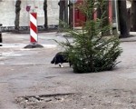Pieliks punktu iegruvumiem