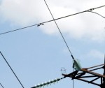 AS ”Sadales tīkls” brīdina: zemā temperatūra vietām var ietekmēt elektroapgādi