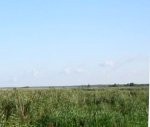 Notiks gadskārtējais Pūķaraga pārgājiens apkārt Papes ezeram