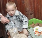 Krāso olas, gatavo apsveikumus, skatās izrādes
