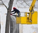 Izbraukuma sēdē nolemj nozāģēt vairākus kokus