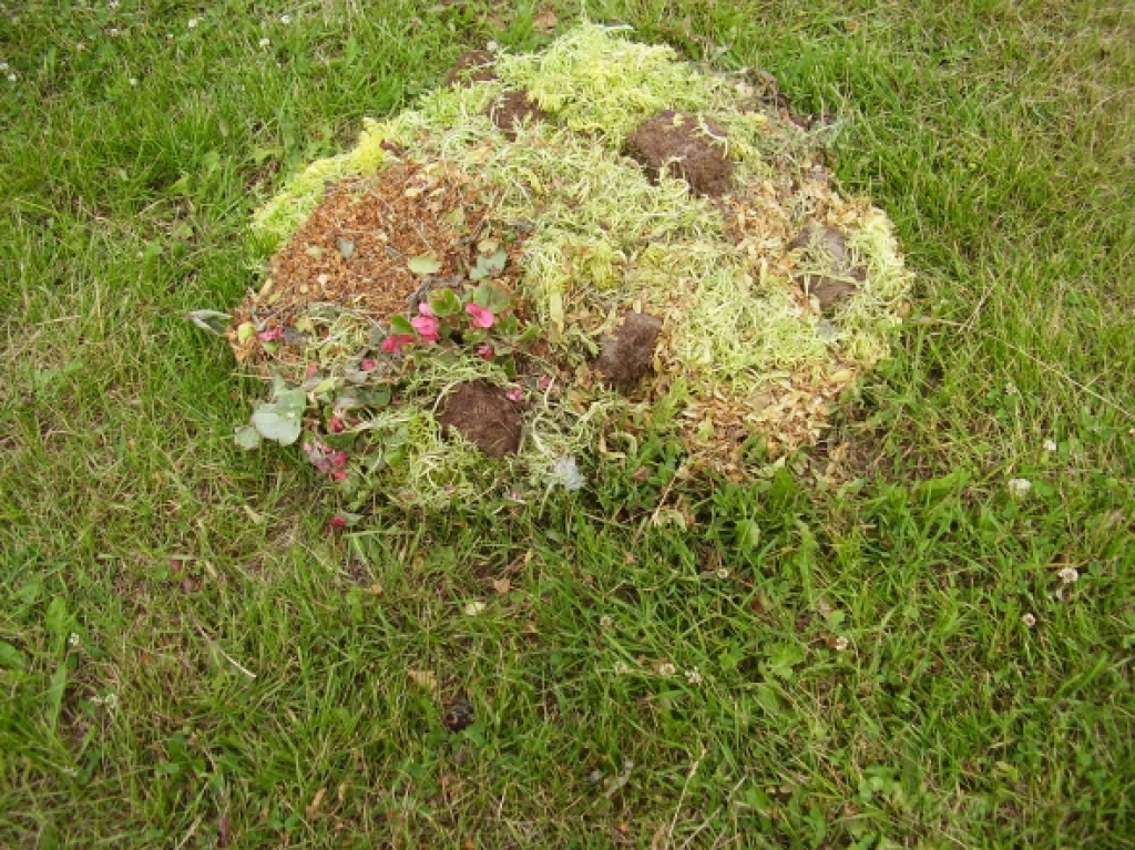 KULTŪRA
