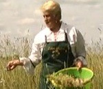 Prom uz pļavu pēc dabas spēka!