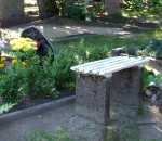 Jaunieši kapos ņirgājas par sirmgalvjiem