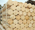 Jūlijā reģistrētā bezdarba līmenis samazinājies vēl par 0,3%