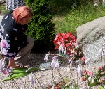 Piemiņu par Vinifredu Krauči saglabās grāmatā