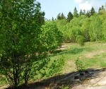 Nolemj iegādāties īpašumu pie slimnīcas