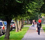 Vairākās vietās likvidēs nokaltušos kokus