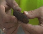 Netālu no bērnu laukuma atrod sprādzienbīstamus lādiņus