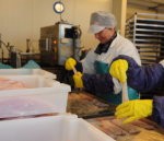 Mencu filejas ražotne uzsākusi  savu otro darba sezonu
