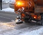 Ielas ziemā grib kopt tikai viens