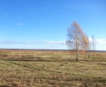 Sakopta daļa no Liepājas ezera piekrastes