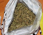 Pie trim jauniešiem uziet 1,6 kilogramus marihuānas