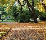 Iznāk novembra “Kultūras Pulss”