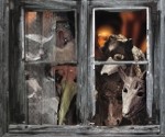Rožu laukuma adventes vainagā iedegs pirmo Adventes svecīti