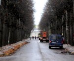 Vecie koki rekonstrukciju nepacieš