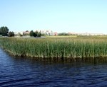 Atvieglo nosacījumus Liepājas ezera apsaimniekotājiem