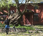 Martā plāno sākt darbu pie Jauniešu mājas izveides