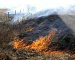 Tuvojoties pavasarim, pašvaldība atgādina – kūlas dedzināšana ir stingri aizliegta!