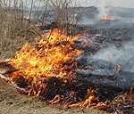 Brīvdienās – pusotra desmita kūlas ugunsgrēku
