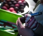 Svētdien Jūrmalas parkā varēs piedalīties Lieldienu sarīkojumā