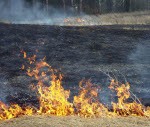 Sākusies kūlas degšanas sezona