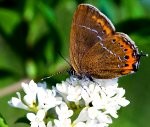 Apskatāma keramikas un tekstildarbu izstāde “Dārzs”