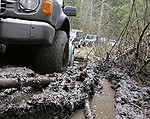 Kurzemē risināsies 4×4 bezceļu piedzīvojumu brauciens – “Tebras Ekspedīcija 2013”