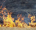 Degusi kūla tūkstošiem kvadrātmetru platībā, īpašniekus sauks pie atbildības