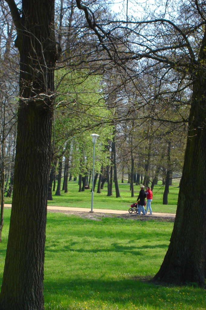Rotaļu laukumu Raiņa parkā ļaus veidot SIA ”Fixman”