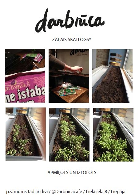 Balso par Zaļo skatlogu!