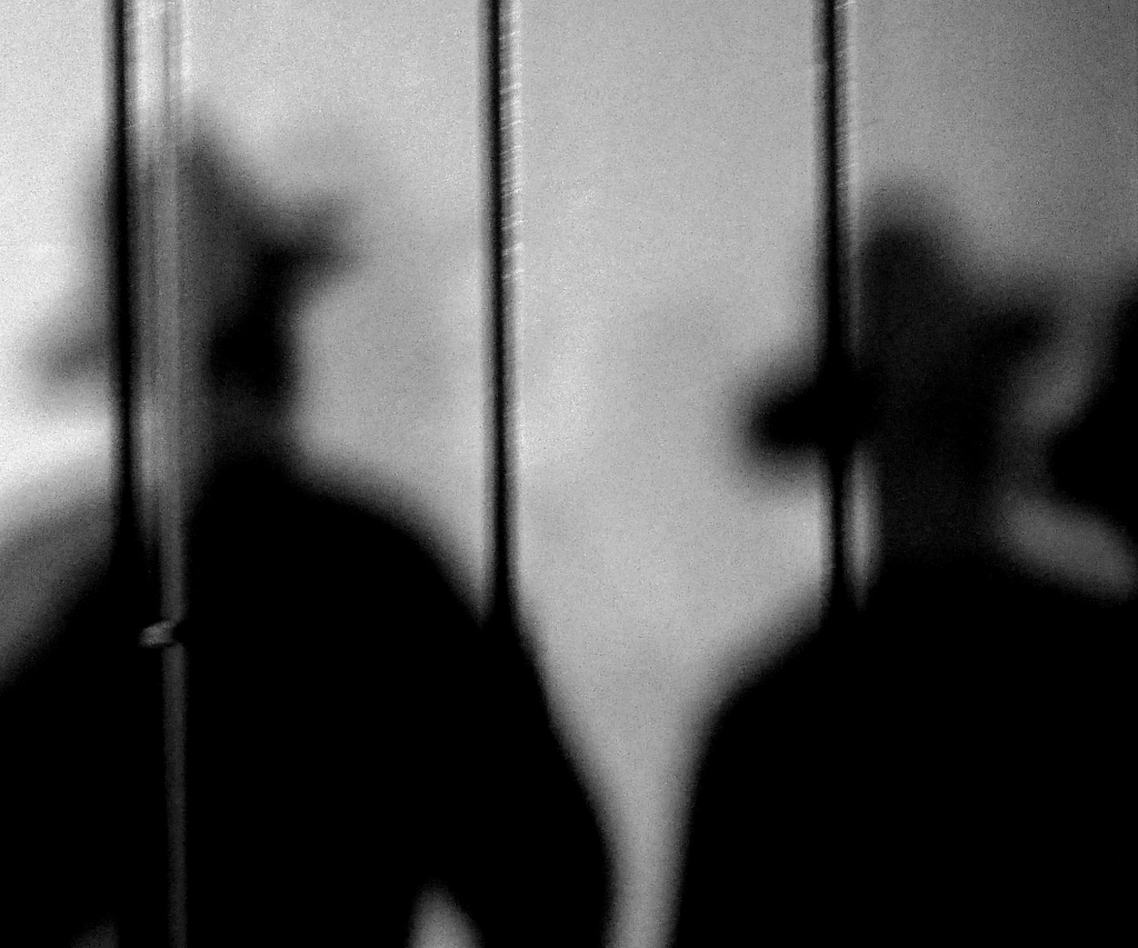 Sesks pēc vēlēšanām aicinājis uz pārrunām RP deputātu; Vilnītis to uzskata par pārvilināšanas mēģinājumu