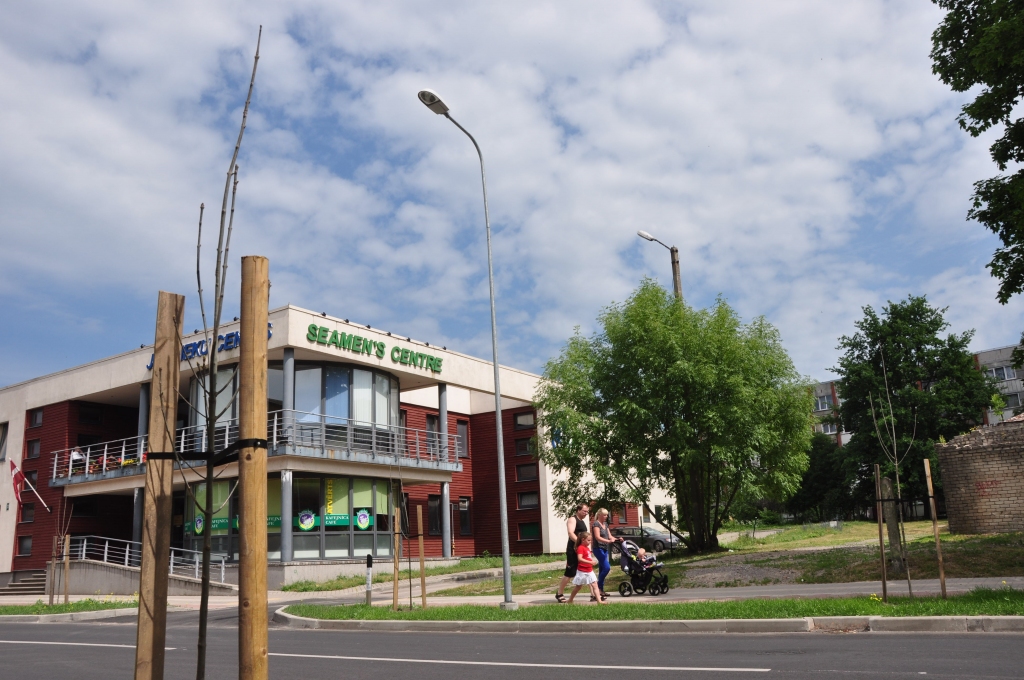 Oši neplaukst, pārstādīs rudenī