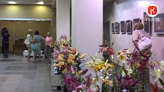Vienkopus 95 liliju šķirnes