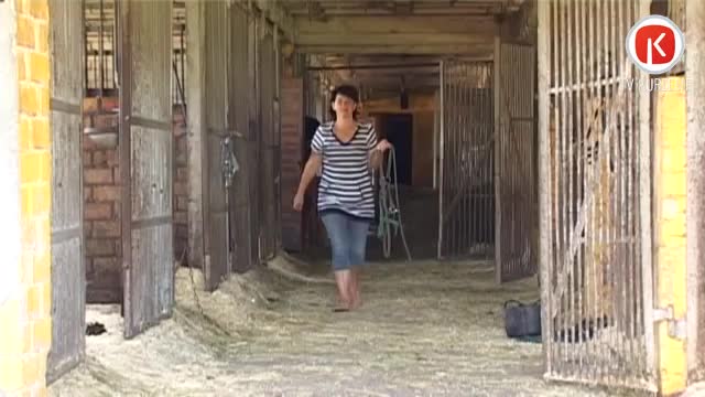 Vietējais zirgkopis tūristus pievilina ar senlaicīgu karieti