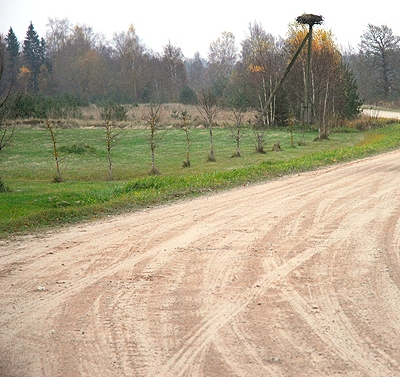 Uz grants ceļiem kaisa sāli