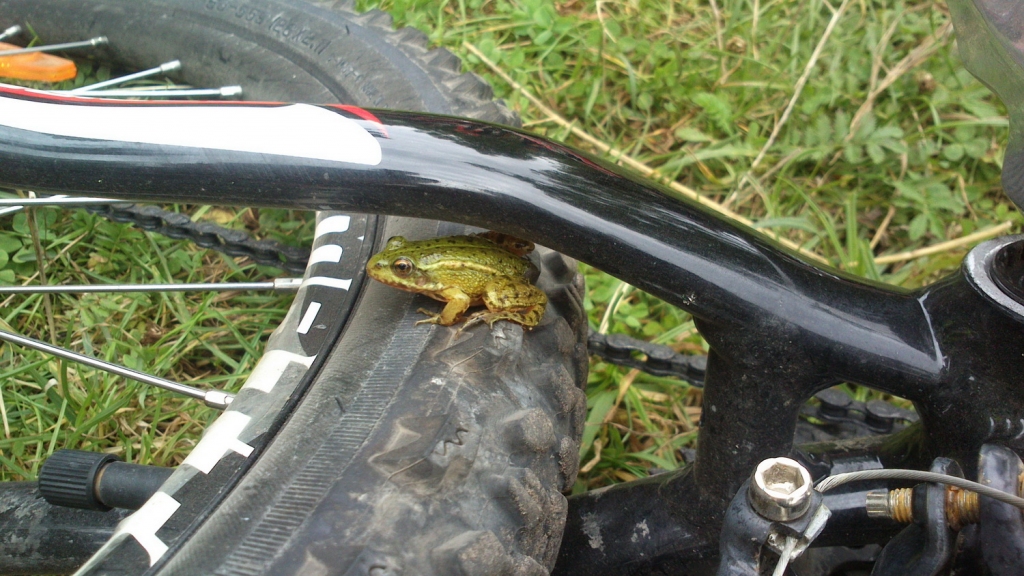 Velobrauciens “Dzintara taka”