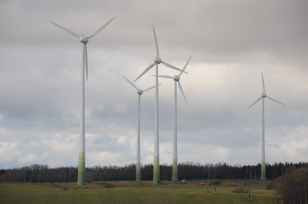 Vēja elektrostaciju turbīnas nogalina sikspārņus